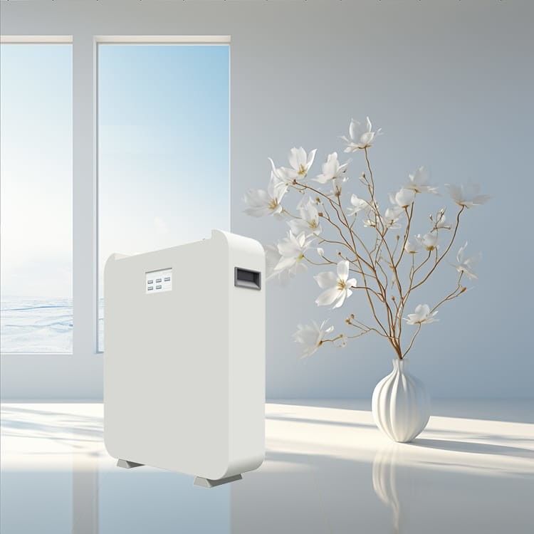 Batteria ad ioni di litio ad alta tensione solare ESS 25.6Kwh 30.72Kwh 48V